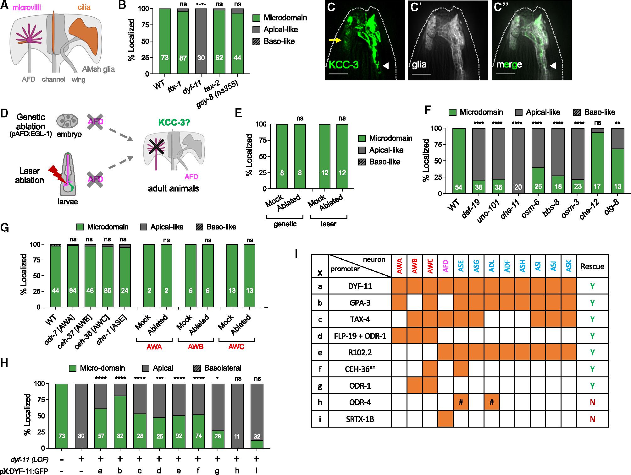 https://cdn.ncbi.nlm.nih.gov/pmc/blobs/6174/11296322/97164caad12e/nihms-2008805-f0006.jpg