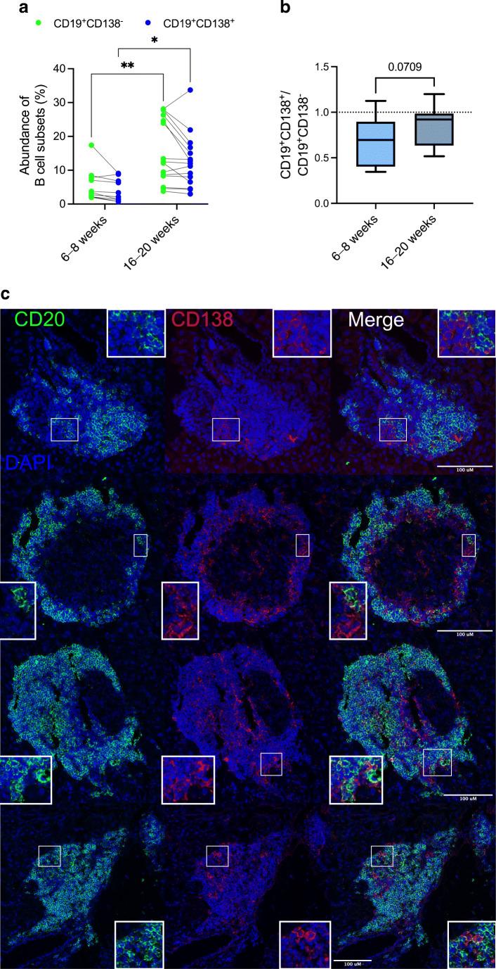 https://cdn.ncbi.nlm.nih.gov/pmc/blobs/6175/9892163/9e95396b5c94/125_2022_5839_Fig1_HTML.jpg