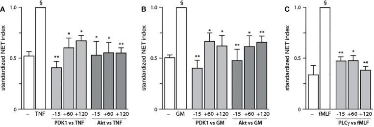 https://cdn.ncbi.nlm.nih.gov/pmc/blobs/6175/9904237/c656b246fcd1/fimmu-14-1042686-g006.jpg