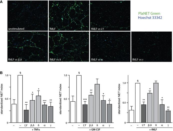 https://cdn.ncbi.nlm.nih.gov/pmc/blobs/6175/9904237/f9ad56f3ec84/fimmu-14-1042686-g001.jpg