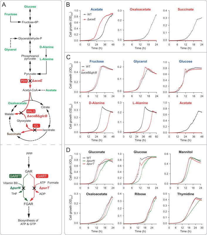 https://cdn.ncbi.nlm.nih.gov/pmc/blobs/6176/10912204/45c90bdc2291/44320_2024_17_Fig5_HTML.jpg