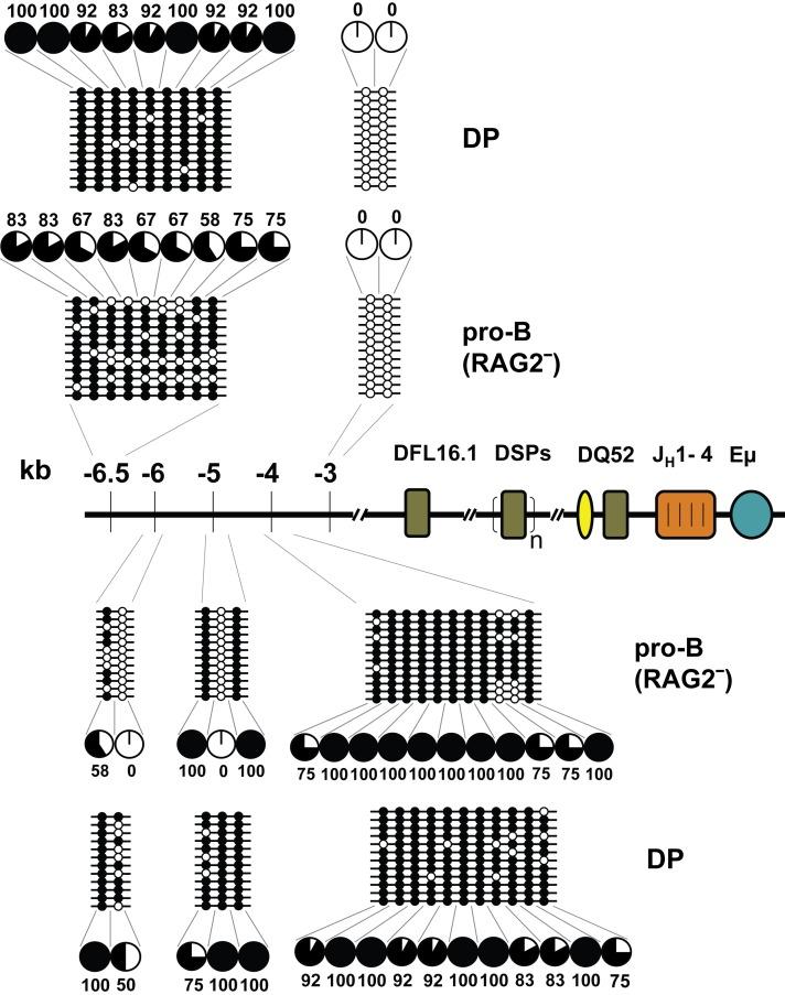 https://cdn.ncbi.nlm.nih.gov/pmc/blobs/6177/3558432/1a5d791a162e/pbio.1001475.g003.jpg