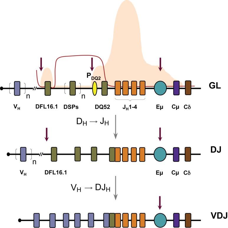 https://cdn.ncbi.nlm.nih.gov/pmc/blobs/6177/3558432/bd33727a6ccb/pbio.1001475.g001.jpg