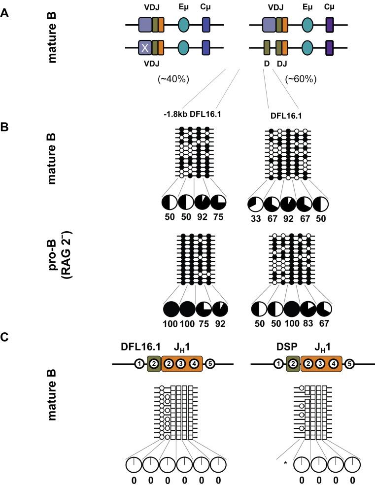 https://cdn.ncbi.nlm.nih.gov/pmc/blobs/6177/3558432/f1d89ed937f2/pbio.1001475.g005.jpg