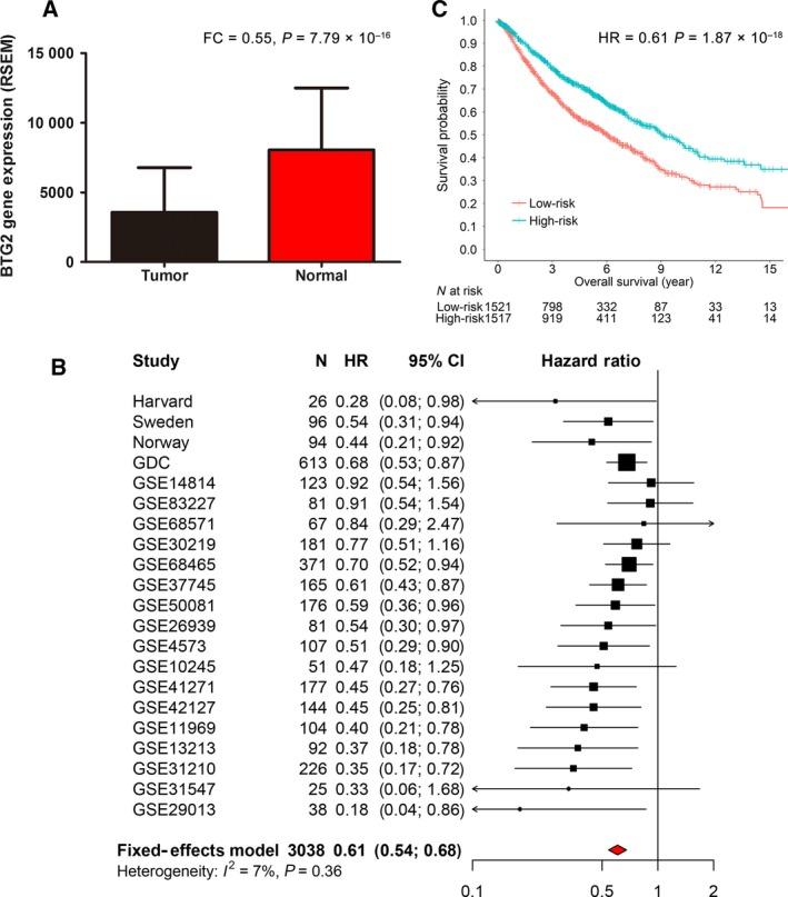 https://cdn.ncbi.nlm.nih.gov/pmc/blobs/6178/5983115/946a6dcf2862/MOL2-12-913-g003.jpg