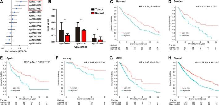 https://cdn.ncbi.nlm.nih.gov/pmc/blobs/6178/5983115/ae8787b588e6/MOL2-12-913-g002.jpg
