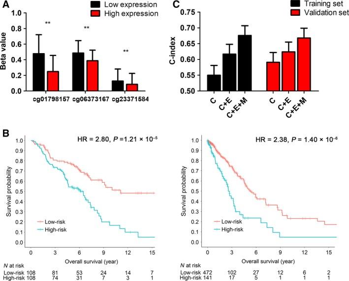 https://cdn.ncbi.nlm.nih.gov/pmc/blobs/6178/5983115/b5db48d95583/MOL2-12-913-g004.jpg