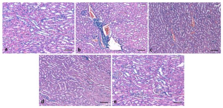 https://cdn.ncbi.nlm.nih.gov/pmc/blobs/6178/7997342/21023452de7c/pharmaceutics-13-00317-g006.jpg