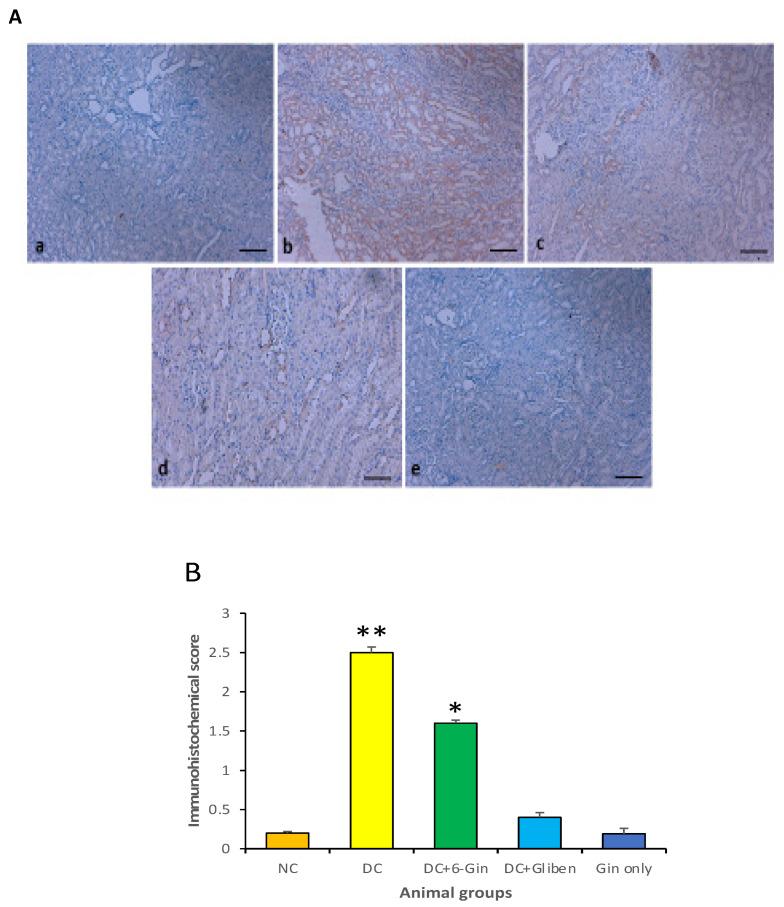 https://cdn.ncbi.nlm.nih.gov/pmc/blobs/6178/7997342/2f8bc30d24b2/pharmaceutics-13-00317-g008.jpg