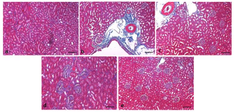 https://cdn.ncbi.nlm.nih.gov/pmc/blobs/6178/7997342/b31763aabf1c/pharmaceutics-13-00317-g007.jpg