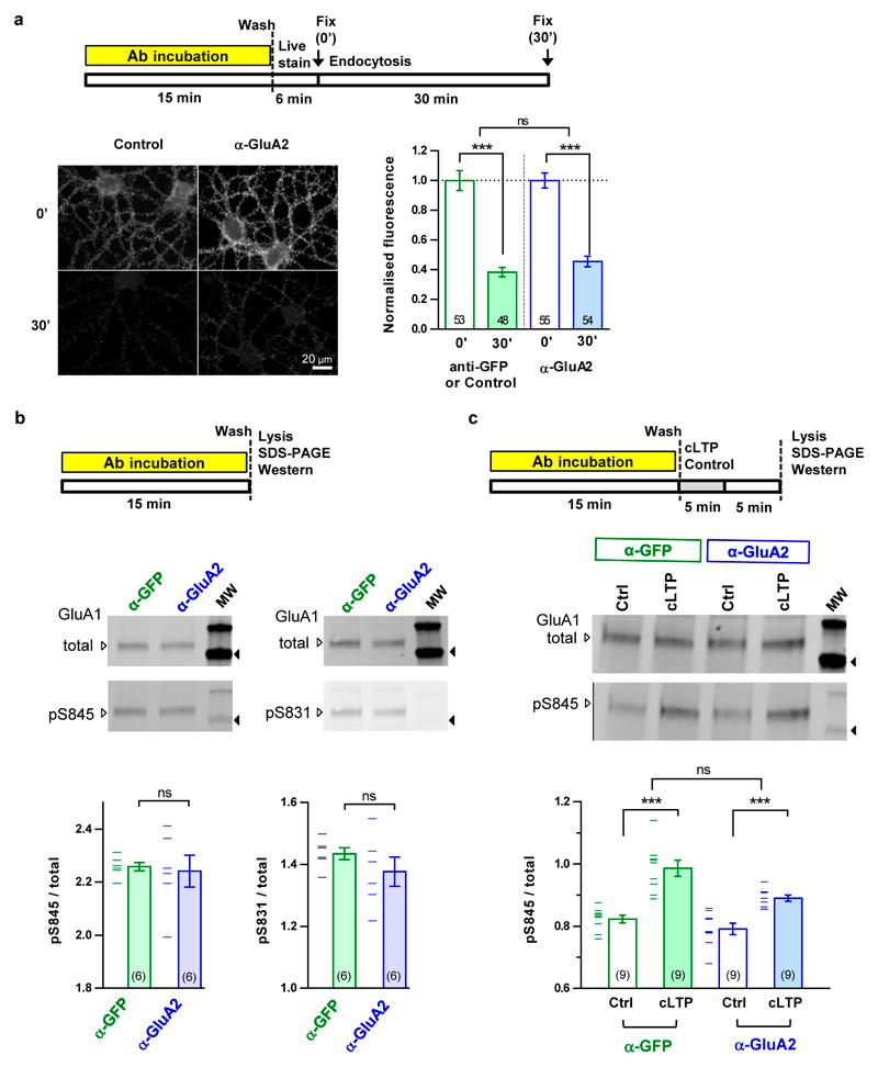 https://cdn.ncbi.nlm.nih.gov/pmc/blobs/6179/5683353/9044739beba3/emss-73496-f011.jpg