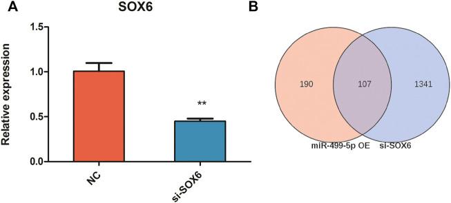 https://cdn.ncbi.nlm.nih.gov/pmc/blobs/6179/9521549/96199806e8a7/fgene-13-1008649-g005.jpg