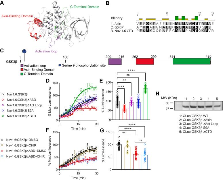 https://cdn.ncbi.nlm.nih.gov/pmc/blobs/617b/11847078/1b9fc6da20d9/gr1.jpg