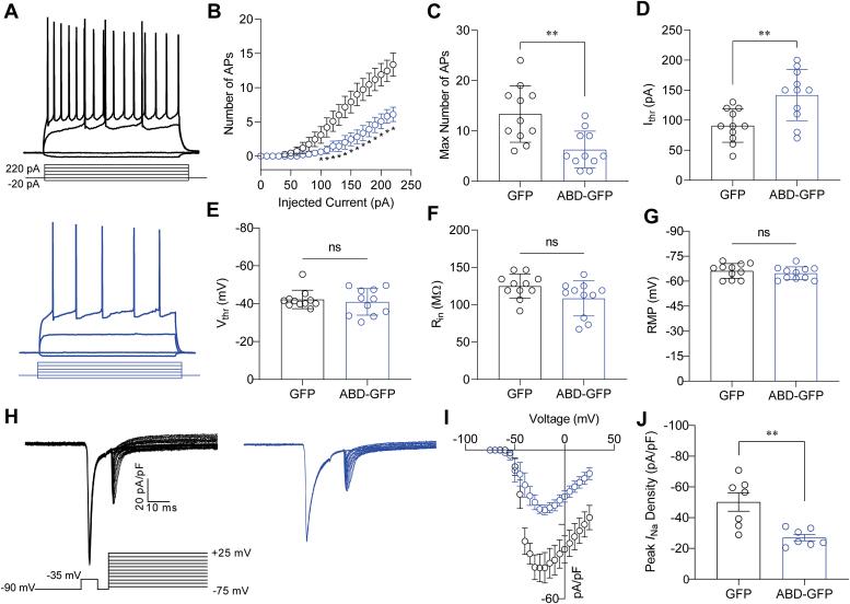https://cdn.ncbi.nlm.nih.gov/pmc/blobs/617b/11847078/6c29c0ff7b8a/gr5.jpg