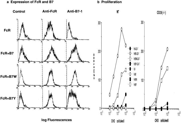 https://cdn.ncbi.nlm.nih.gov/pmc/blobs/617d/2196265/7e28e56706a1/JEM.wu7.jpg