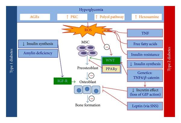 https://cdn.ncbi.nlm.nih.gov/pmc/blobs/617e/4124651/27219bd54a9f/IJE2014-690783.001.jpg