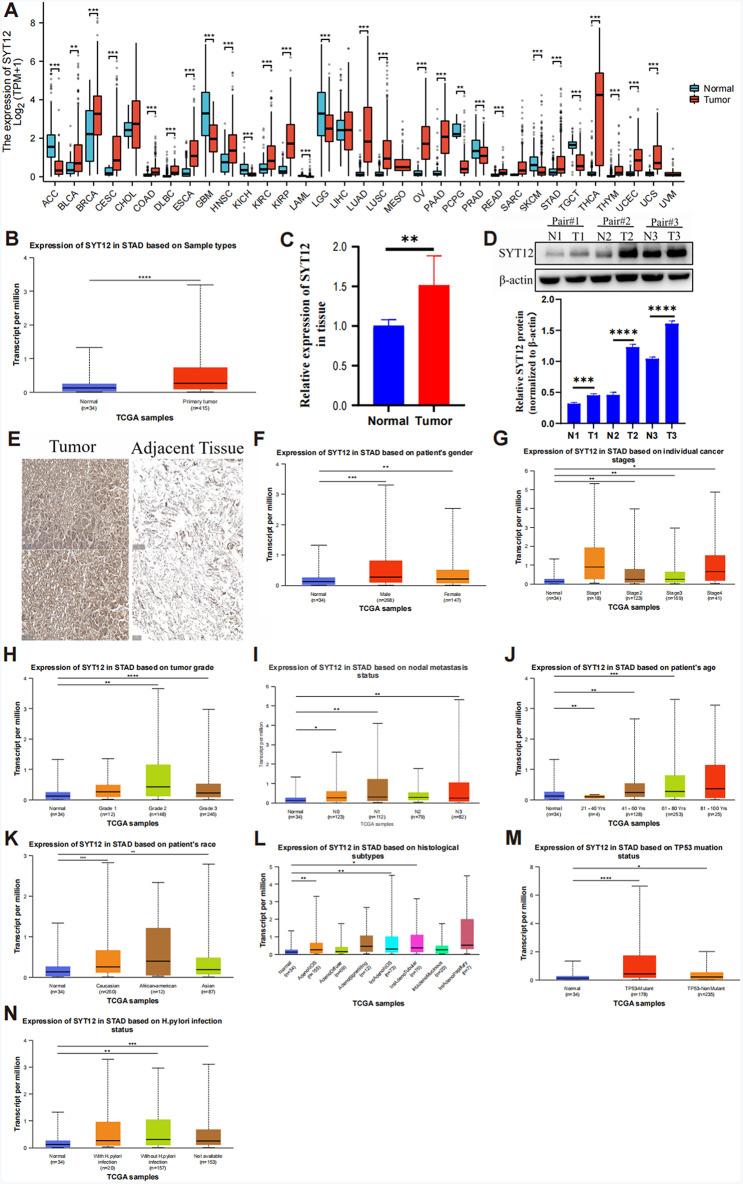 https://cdn.ncbi.nlm.nih.gov/pmc/blobs/617f/11520883/75a71c1a8e2a/12885_2024_13077_Fig1_HTML.jpg