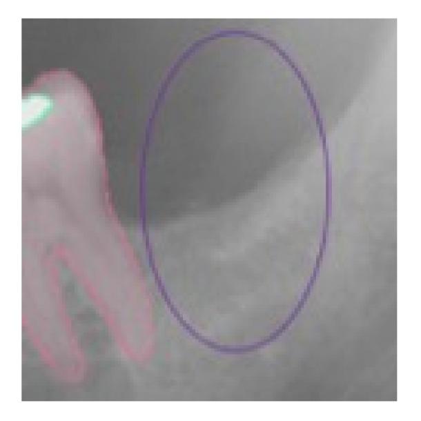 https://cdn.ncbi.nlm.nih.gov/pmc/blobs/617f/8835112/19fdc8ddd61a/ijerph-19-01728-g003.jpg