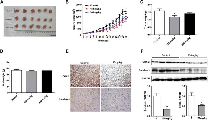 https://cdn.ncbi.nlm.nih.gov/pmc/blobs/6180/7741610/12dceafd1af1/fphar-11-523962-g005.jpg