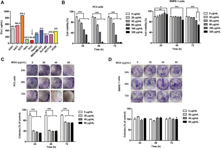 https://cdn.ncbi.nlm.nih.gov/pmc/blobs/6180/7741610/53c74708beab/fphar-11-523962-g001.jpg