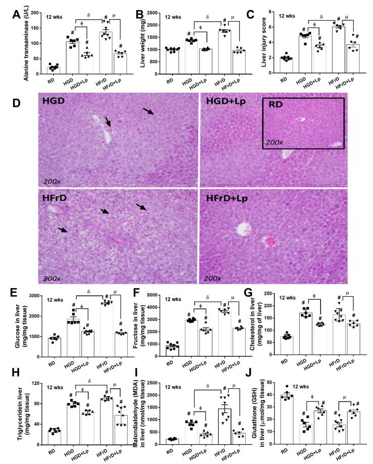 https://cdn.ncbi.nlm.nih.gov/pmc/blobs/6182/10056651/15327d7cf448/nutrients-15-01462-g003.jpg