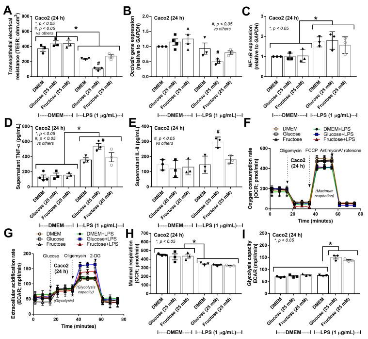 https://cdn.ncbi.nlm.nih.gov/pmc/blobs/6182/10056651/e2644eff5fb5/nutrients-15-01462-g006.jpg