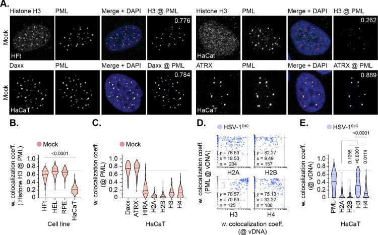 https://cdn.ncbi.nlm.nih.gov/pmc/blobs/6182/12393724/da5ee3399256/ppat.1012501.g003.jpg