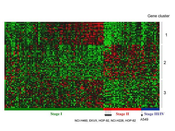 https://cdn.ncbi.nlm.nih.gov/pmc/blobs/6182/1525183/790c2edc82f9/1471-2164-7-166-4.jpg