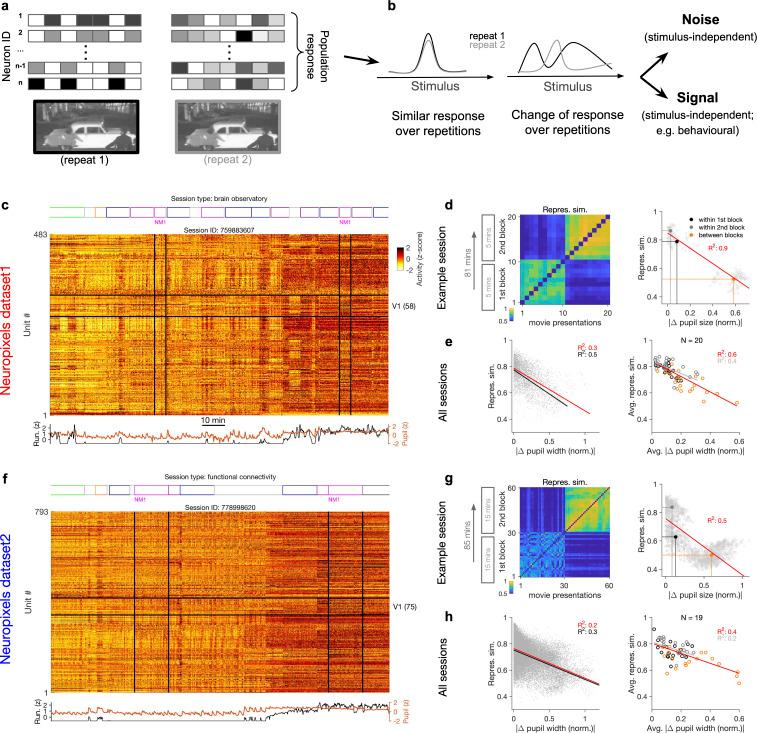 https://cdn.ncbi.nlm.nih.gov/pmc/blobs/6183/9481246/b9075c2e5492/elife-77907-fig1.jpg
