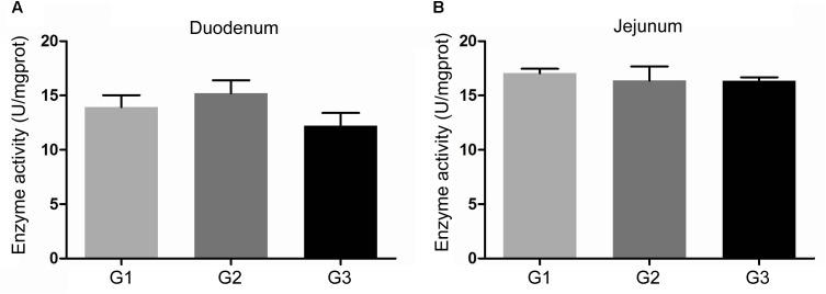 https://cdn.ncbi.nlm.nih.gov/pmc/blobs/6184/6204369/37461333c026/fmicb-09-02427-g004.jpg