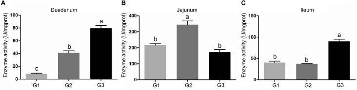 https://cdn.ncbi.nlm.nih.gov/pmc/blobs/6184/6204369/9e1f502ee6a2/fmicb-09-02427-g002.jpg