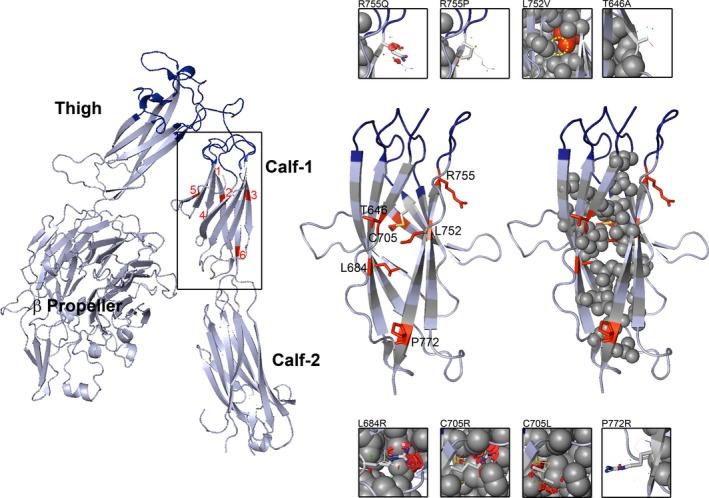https://cdn.ncbi.nlm.nih.gov/pmc/blobs/6187/5902390/6e7b4ee4d4fc/MGG3-6-249-g002.jpg