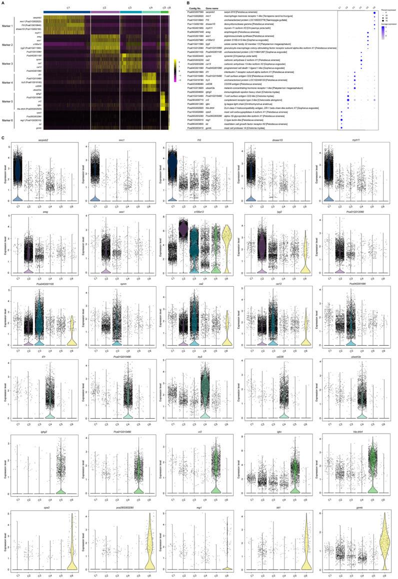 https://cdn.ncbi.nlm.nih.gov/pmc/blobs/6188/10376416/ddb7af0c22ce/biology-12-00994-g003.jpg