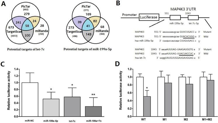 https://cdn.ncbi.nlm.nih.gov/pmc/blobs/618a/5355128/9309a283329e/oncotarget-08-13666-g003.jpg