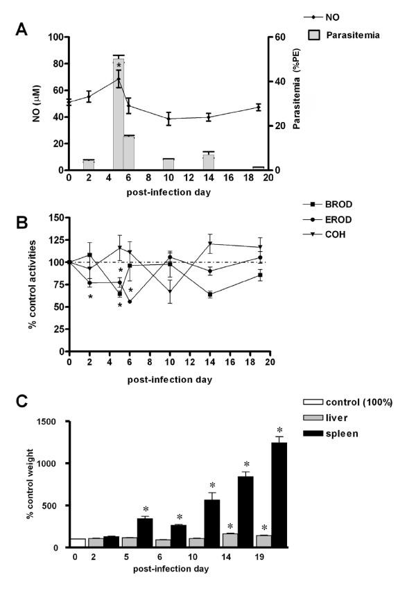 https://cdn.ncbi.nlm.nih.gov/pmc/blobs/618b/2858213/2eb89cdf6add/1475-2875-9-81-5.jpg