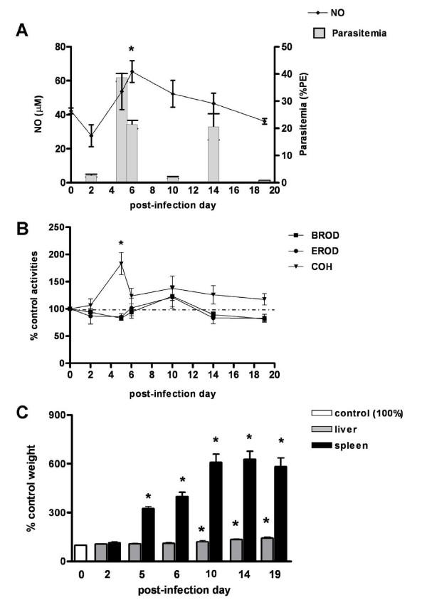 https://cdn.ncbi.nlm.nih.gov/pmc/blobs/618b/2858213/7bd492baaf4e/1475-2875-9-81-4.jpg