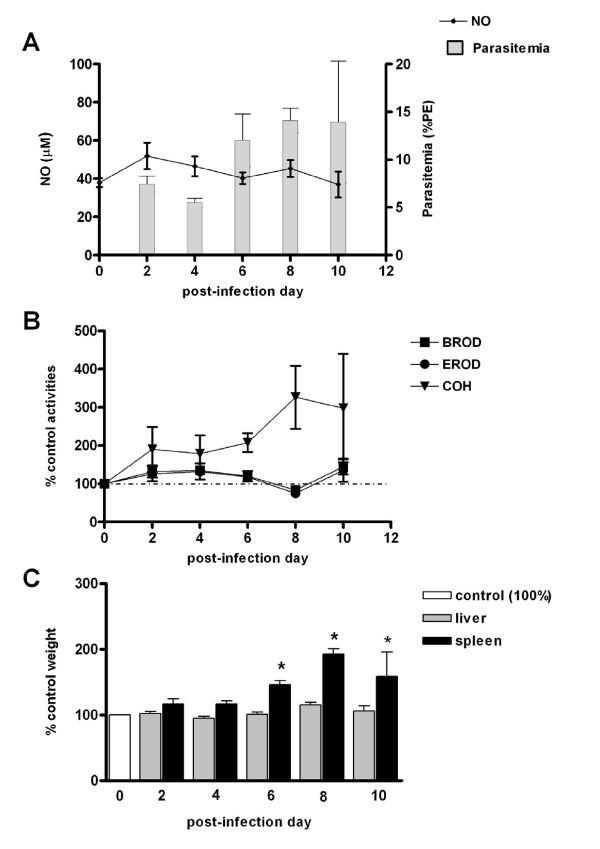 https://cdn.ncbi.nlm.nih.gov/pmc/blobs/618b/2858213/dd1b01d97deb/1475-2875-9-81-2.jpg