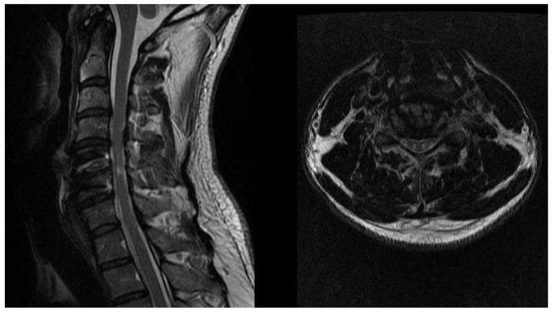 https://cdn.ncbi.nlm.nih.gov/pmc/blobs/618d/8396963/fae06825e4bc/jcm-10-03626-g001.jpg