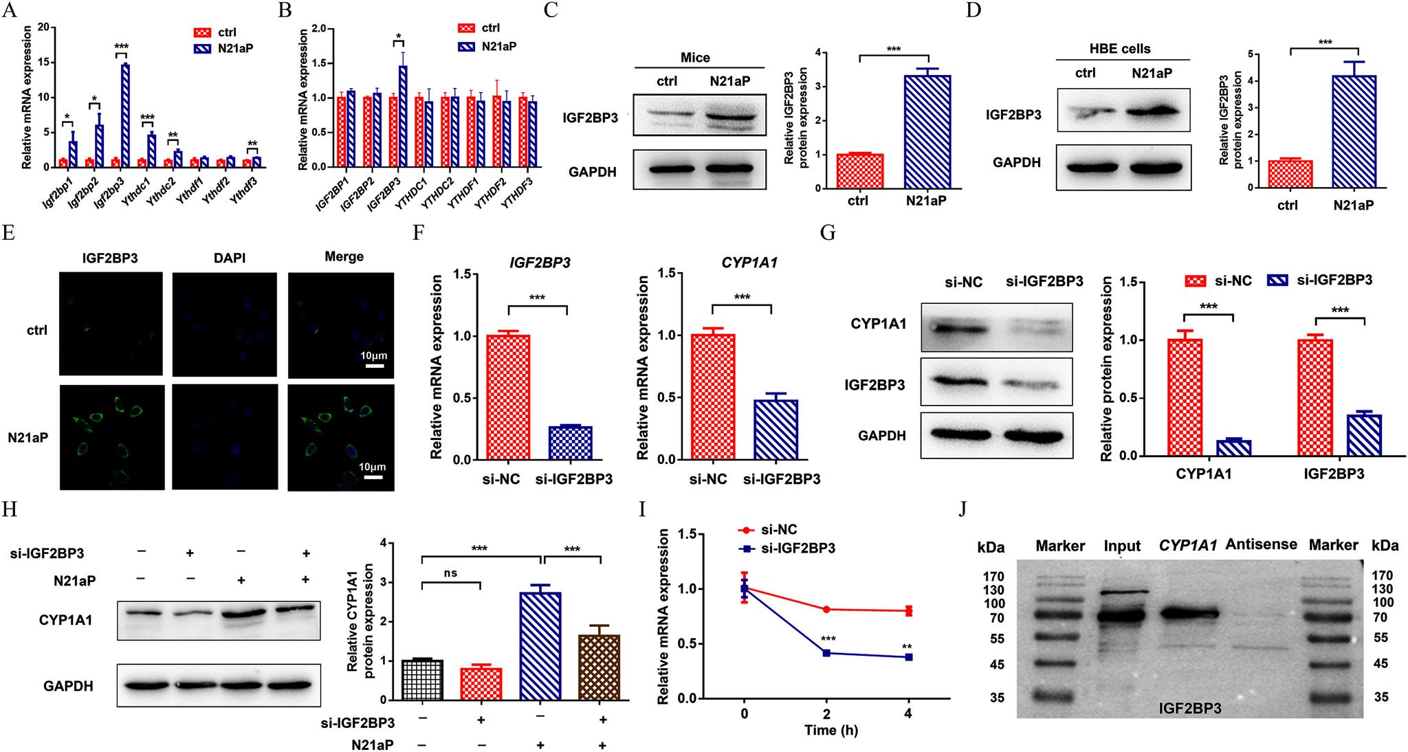 https://cdn.ncbi.nlm.nih.gov/pmc/blobs/618e/11318572/3e7c5a8f4050/ehp14055_f6a.jpg