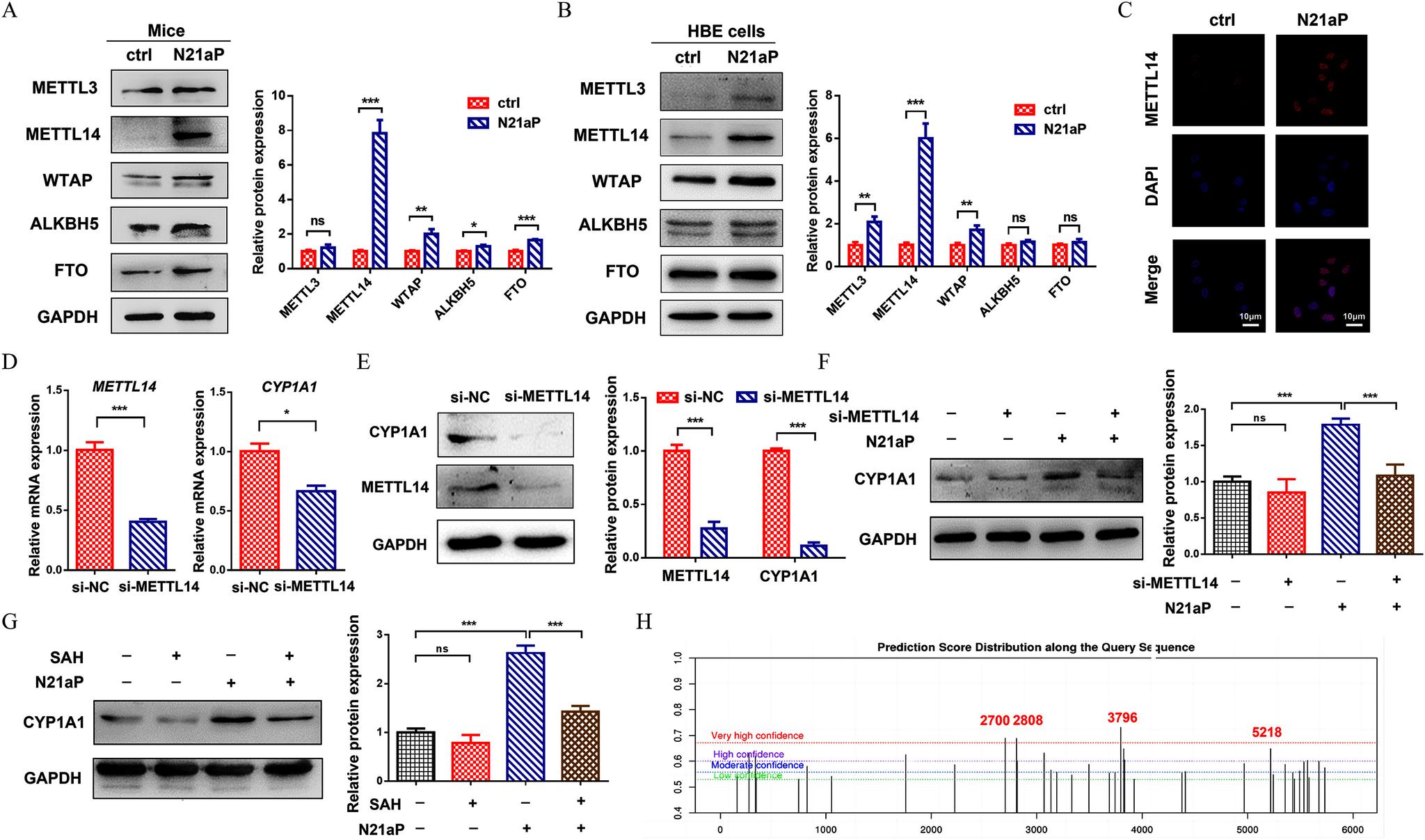 https://cdn.ncbi.nlm.nih.gov/pmc/blobs/618e/11318572/f0bf3f3554cc/ehp14055_f5a.jpg