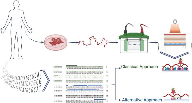 https://cdn.ncbi.nlm.nih.gov/pmc/blobs/6190/11320832/7a7621604359/bpae036f5.jpg