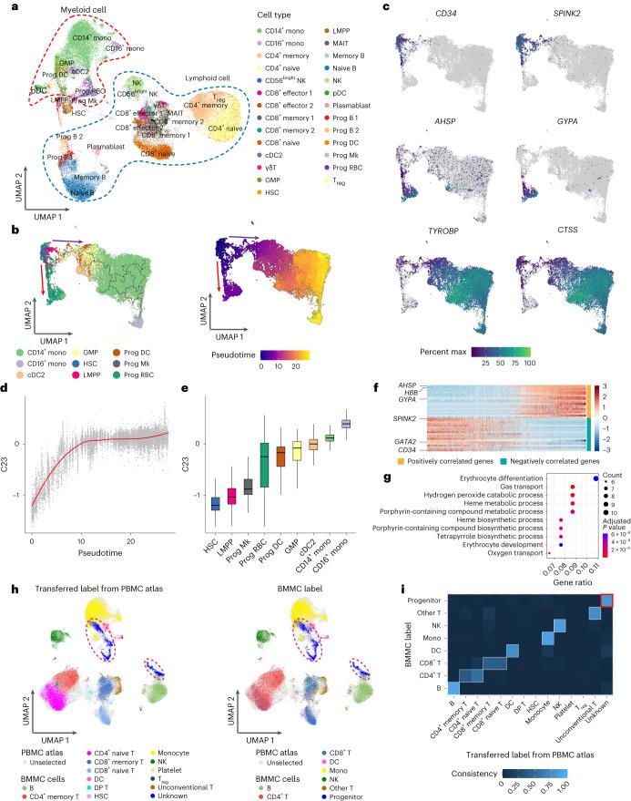 https://cdn.ncbi.nlm.nih.gov/pmc/blobs/6191/11471558/d895210aef7f/41587_2023_2040_Fig6_HTML.jpg