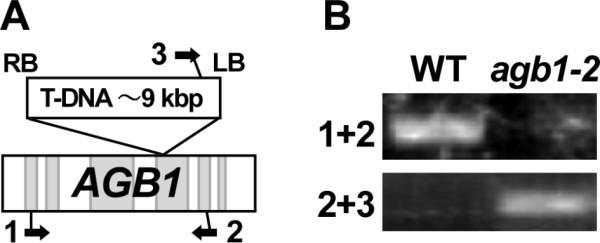 https://cdn.ncbi.nlm.nih.gov/pmc/blobs/6192/3150330/56dc4e1809d4/1746-4811-7-22-7.jpg