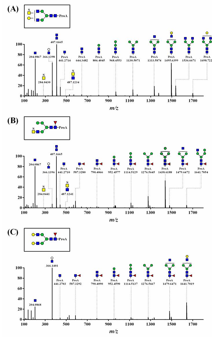 https://cdn.ncbi.nlm.nih.gov/pmc/blobs/6192/7796149/5791365c97e2/polymers-13-00103-g002.jpg