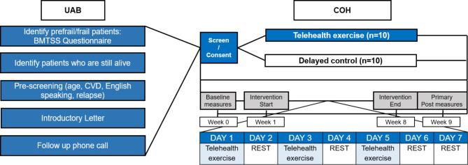https://cdn.ncbi.nlm.nih.gov/pmc/blobs/6194/10150529/556207e2ac7b/12885_2023_10884_Fig1_HTML.jpg