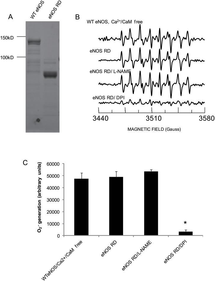 https://cdn.ncbi.nlm.nih.gov/pmc/blobs/6194/4605588/4b9e39e1f3aa/pone.0140365.g006.jpg