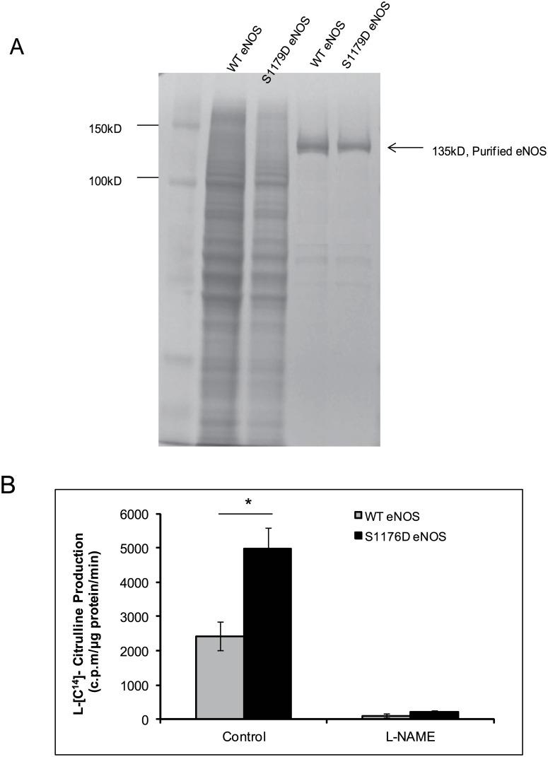 https://cdn.ncbi.nlm.nih.gov/pmc/blobs/6194/4605588/b9b0e3abe2c9/pone.0140365.g001.jpg