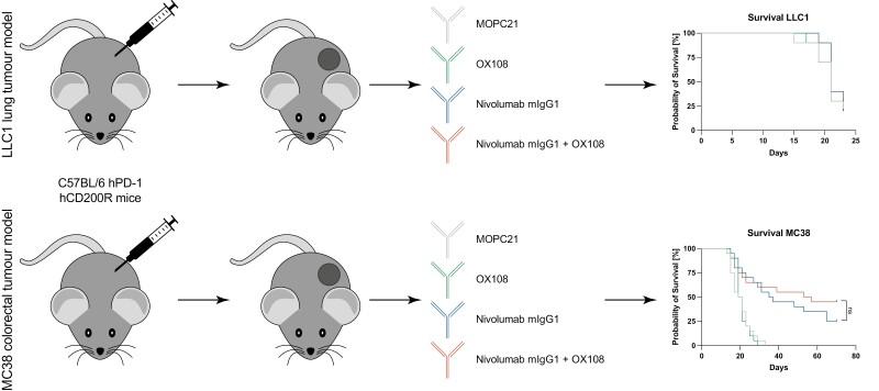https://cdn.ncbi.nlm.nih.gov/pmc/blobs/619b/10112683/52fcb3630f54/ltad006_fig5.jpg
