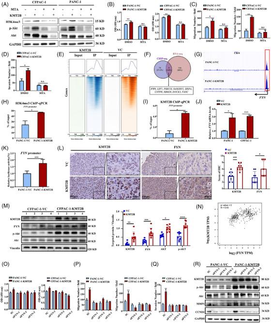 https://cdn.ncbi.nlm.nih.gov/pmc/blobs/619b/12311841/2e900f7204d6/CTM2-15-e70424-g006.jpg