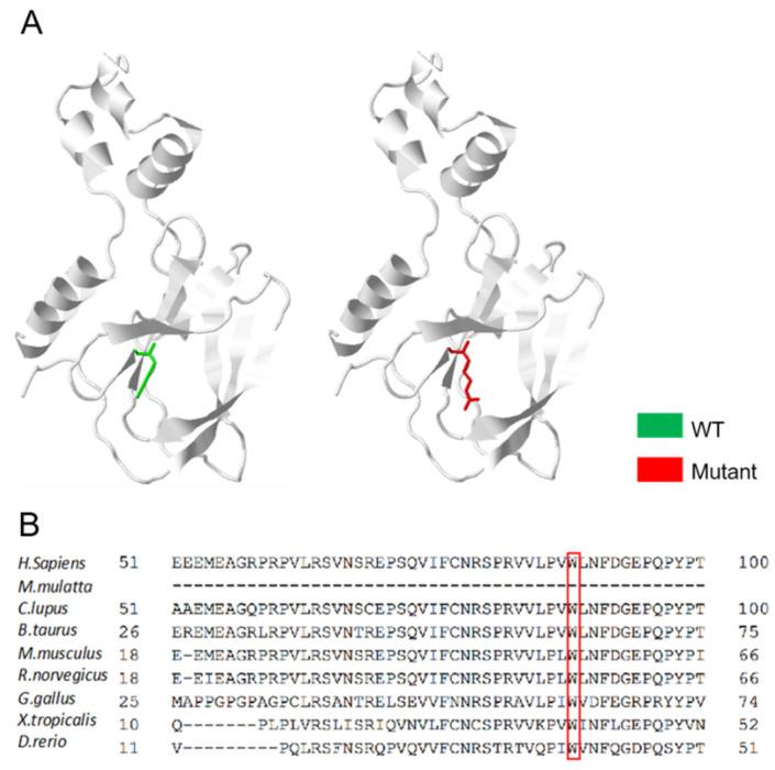 https://cdn.ncbi.nlm.nih.gov/pmc/blobs/619b/9030033/3841759971a8/curroncol-29-00192-g003.jpg